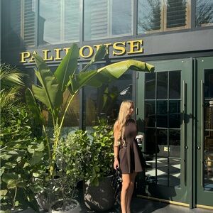 Zara Brown Sleeveless Dress